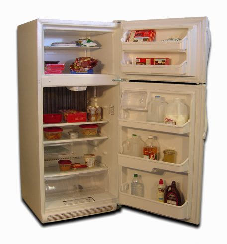 EZ Freeze EZ-19W gas refrigerator holds plenty of food for multiple people