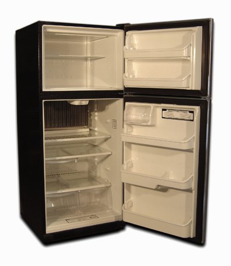 EZ-21SS gas fridge