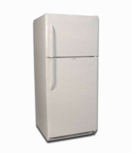 EZ Freeze 21 cubic foot propane gas refrigerator in wWhite color