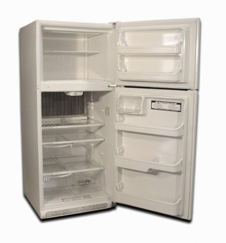 High capicity food storage in the gas refrigerator