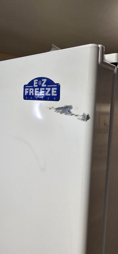 Scratch N Dent Discounted 15 Cu Ft  Blizzard Propane Freezer-IN STOCK - Image 3
