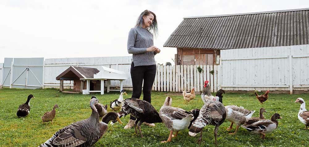 homesteading cold food storage