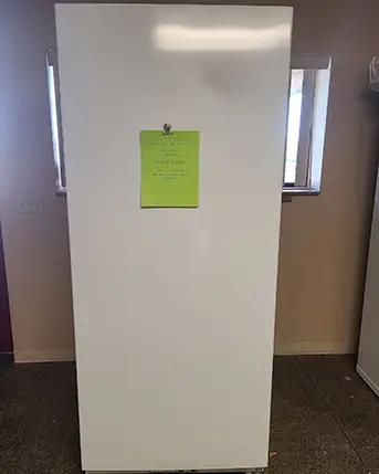 EZ-Freeze / Blizzard Discount Upright 22 Cu. Ft. Propane Freezer-SOLD